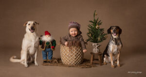 julfotografering, julkort, julerbjudande, barnfotograf, syskonporträtt